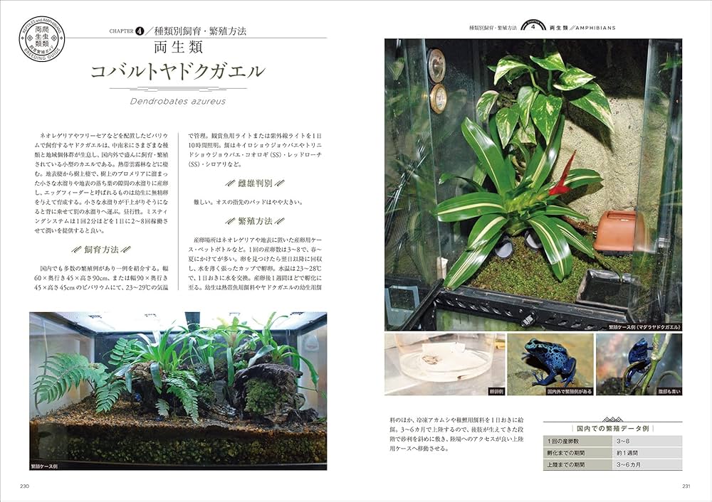 爬虫・両生類飼育ガイド　　6冊セット 爬虫・両生類飼育ガイド 6冊セット